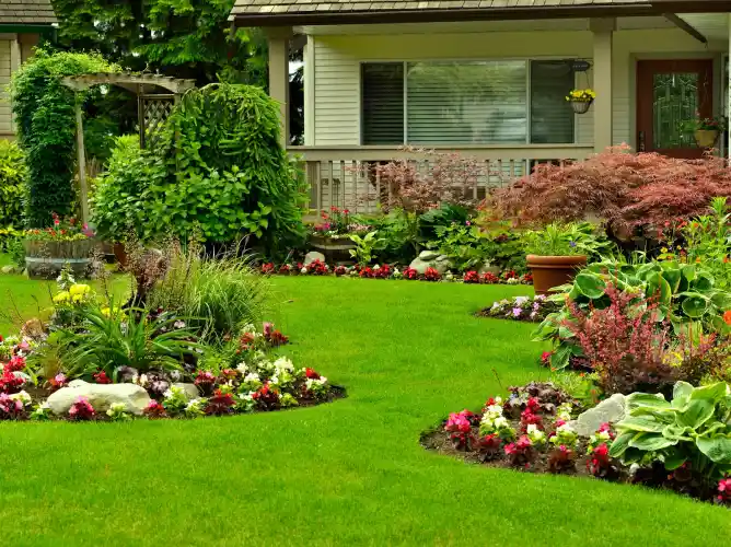 lawn area in perth with waterwise garden