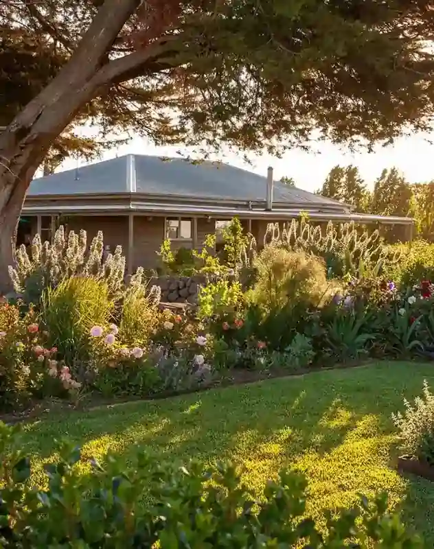 tranquility in a garden